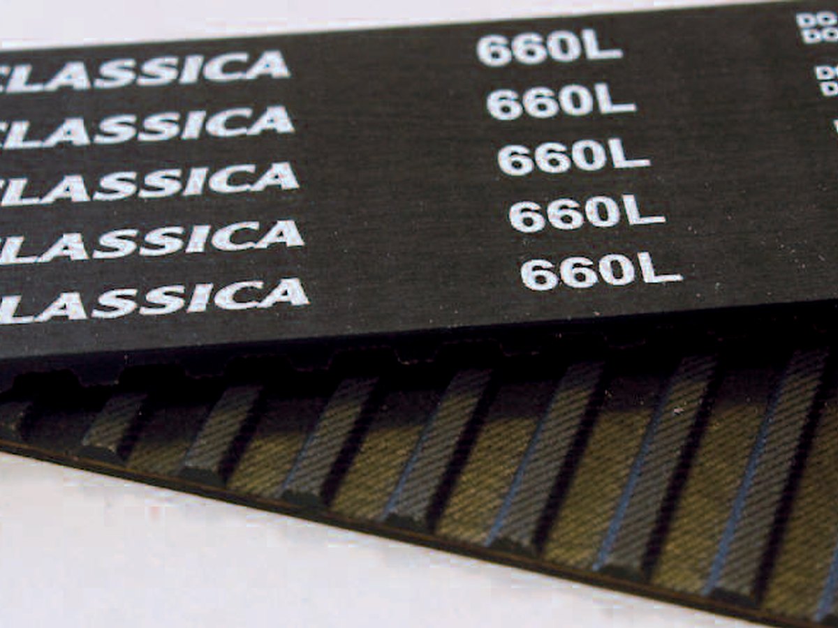 SIT CLASSICA imperial timing belt